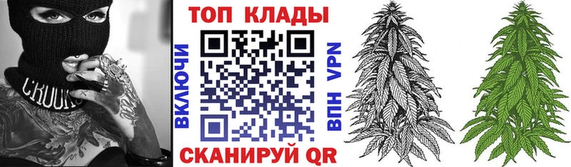 Виды наркотиков купить Егорьевск A PVP  БУТИРАТ  Марихуана  LSD-25  Гашиш 