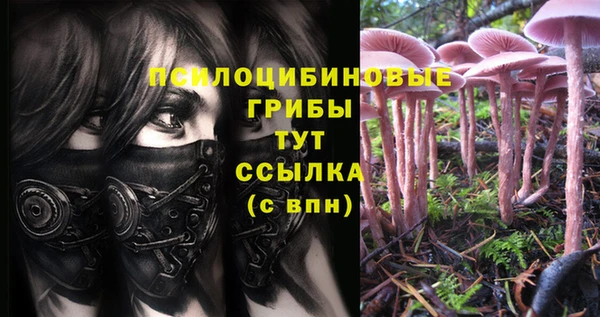 мет Армянск