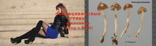 ALPHA PVP Балабаново