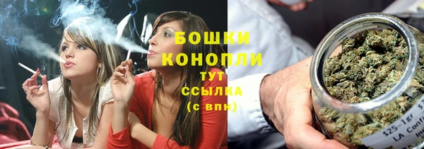 ГАЛЛЮЦИНОГЕННЫЕ ГРИБЫ Баксан